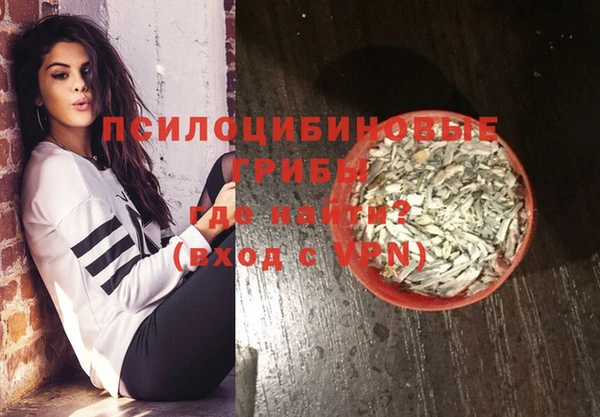 спайс Алзамай
